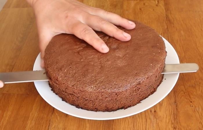 Шоколадный бисквит: простой рецепт классического пышного бисквита 