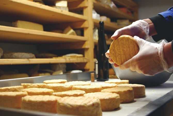 Как приготовить сыр в домашних условиях - ингредиенты, фото