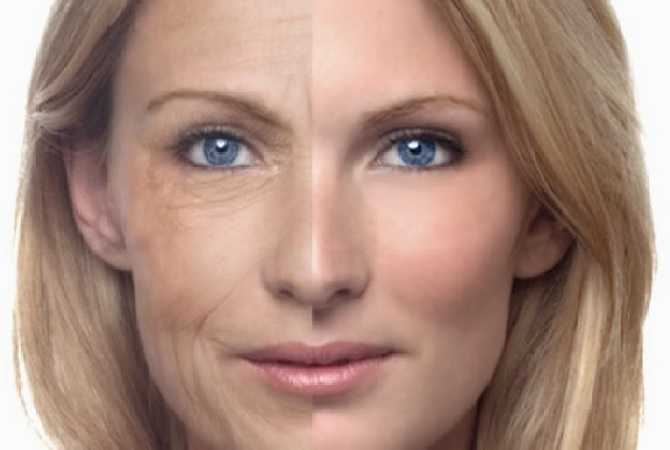 Новые средства для долголетия Новые средства для долголетия