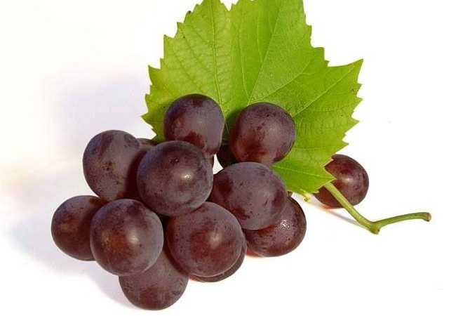 Средства для долголетия, ресвератрол виноградных косточек
