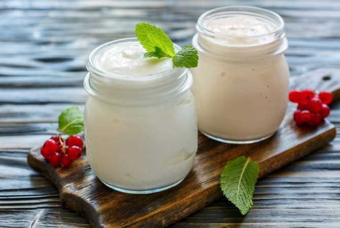 Ферментированные молочные продукты содержат пробиотик Lactobacillus Gasseri